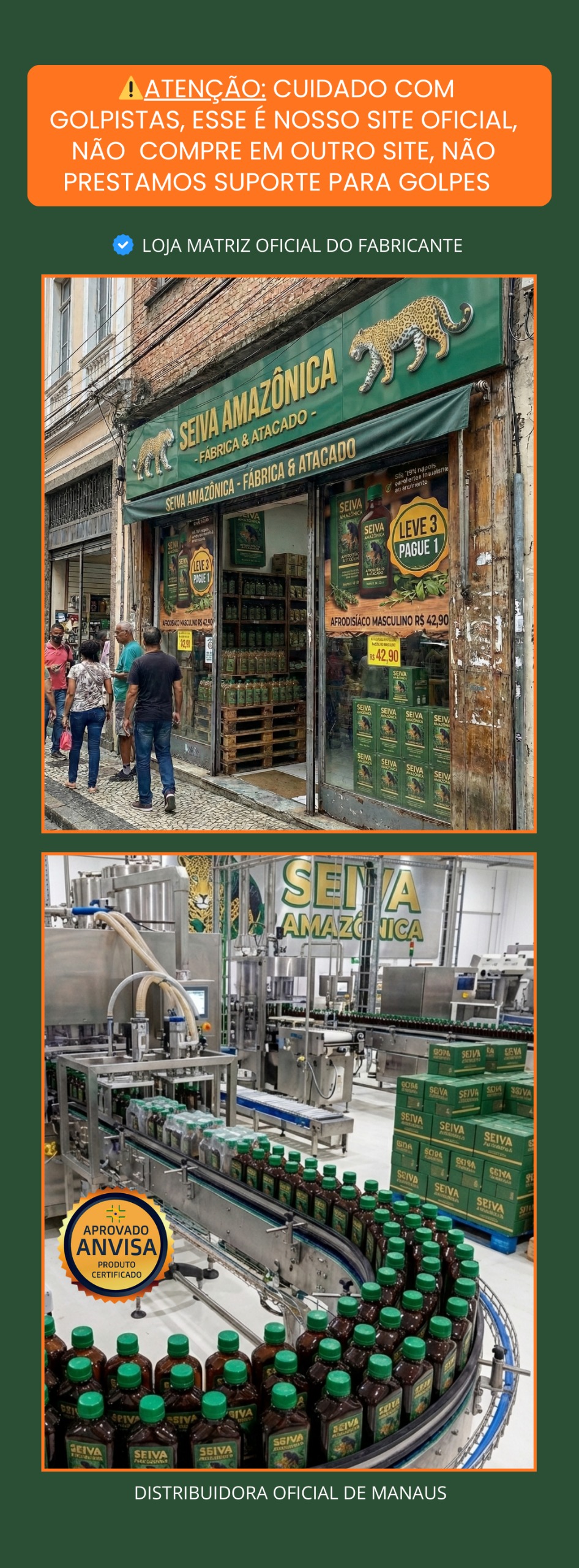 Institucional Seiva Amazônica